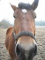 /album/topia/moments-de-detente-034-jpg/
